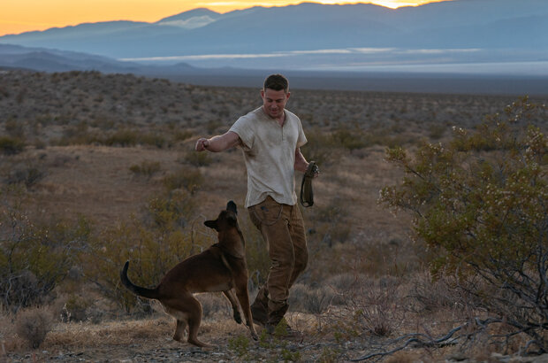 Dog (2022) - photo 4