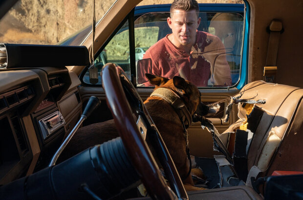 Dog (2022) - photo 5