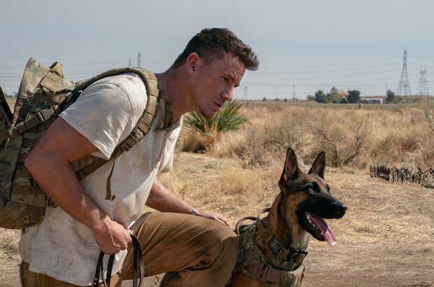 Dog (2022) - photo 12