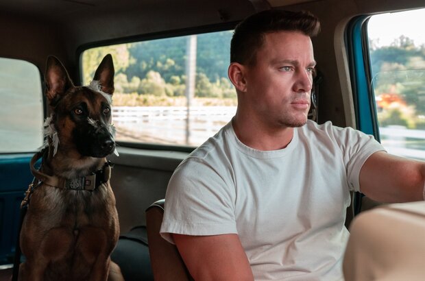 Dog (2022) - photo 1