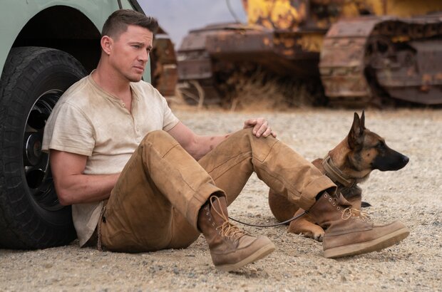 Dog (2022) - photo 11