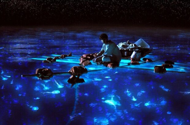 Life of Pi (2012) - photo 7