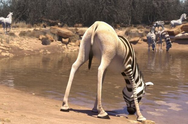Khumba (2014) - photo 6