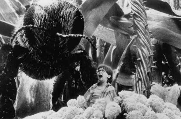 Honey, I Shrunk the Kids (1989) - photo 7