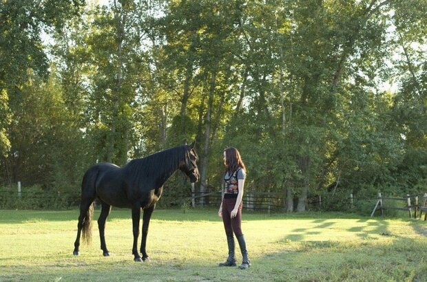 Flicka: Country Pride (2012) - photo 6
