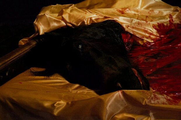 The Godfather (1972) - photo 12