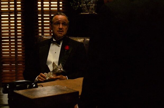 The Godfather (1972) - photo 9