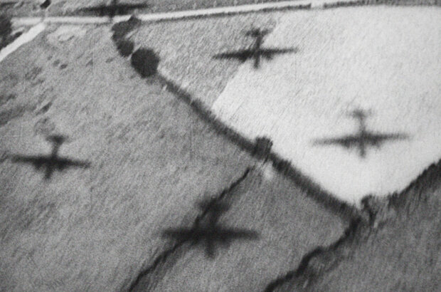 The Natural History of Destruction (2022) - photo 6