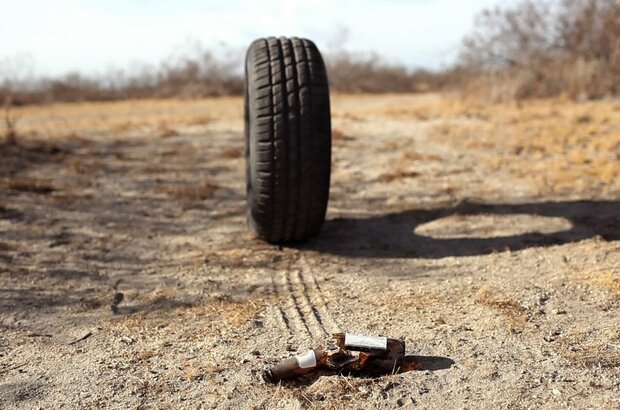 Rubber (2010) - photo 4