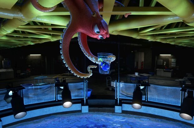 Finding Dory (2016) - photo 5