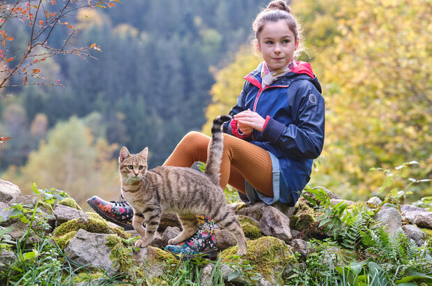 A Cat's Life (2023) - photo 13