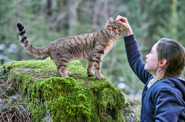 A Cat's Life (2023) - photo 12