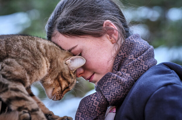 A Cat's Life (2023) - photo 3