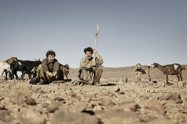 Vive la France (2013) - photo 5