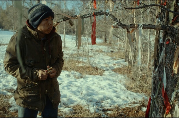 Nelegal (2022) - photo 15