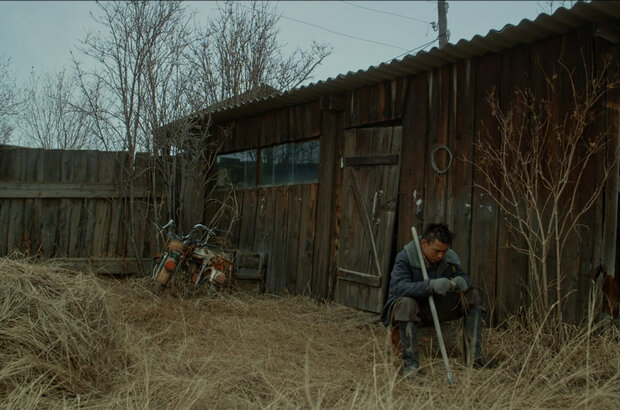 Nelegal (2022) - photo 10