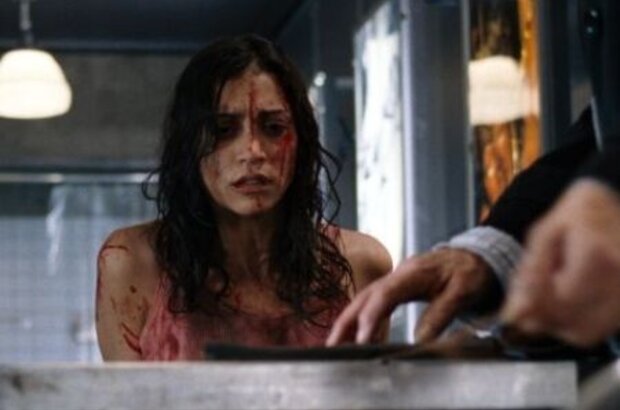 Martyrs (2008) - photo 4