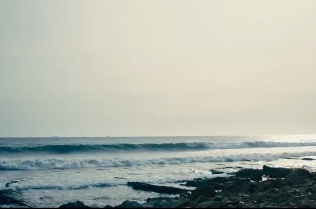 O.G. (2018) - photo 8