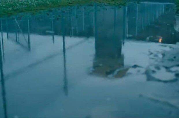 O.G. (2018) - photo 3