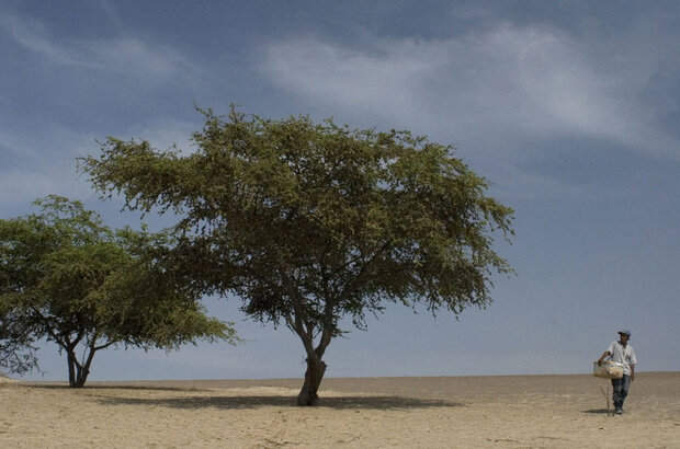 Teta asustada, La (2009) - photo 4