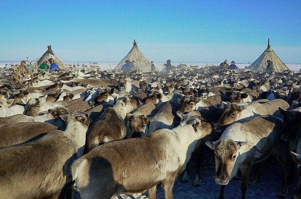 Великий северный путь (2016) - фото 5
