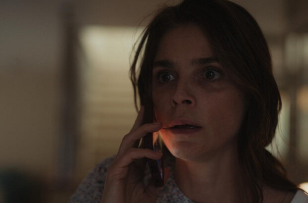 The Diary (2024) - photo 1