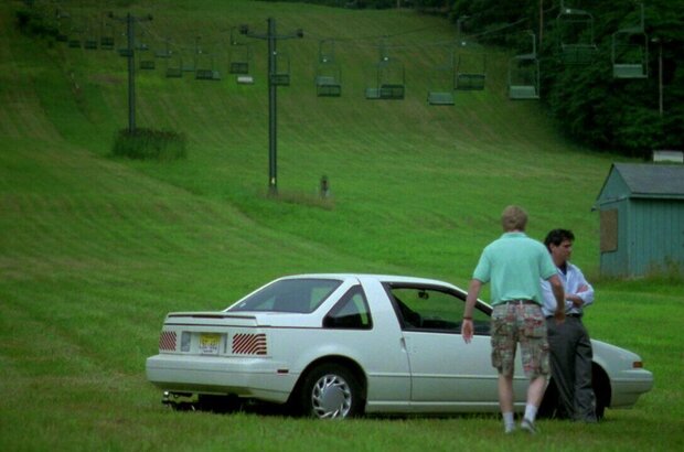 Pretty Bird (2008) - photo 3