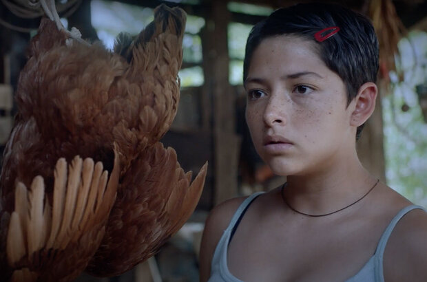Prayers for the Stolen (2021) - photo 5