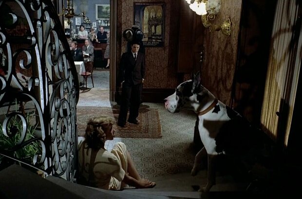 Lacombe, Lucien (1973) - photo 6