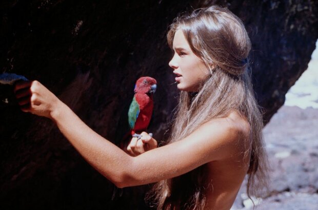 Голубая лагуна (1980) - фото 4
