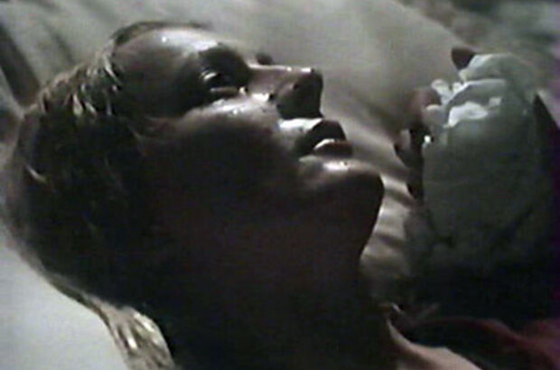 The Veldt (1987) - photo 4