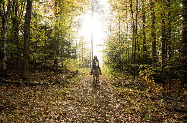 If I Could Ride (2022) - photo 7
