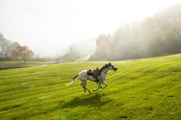 If I Could Ride (2022) - photo 5