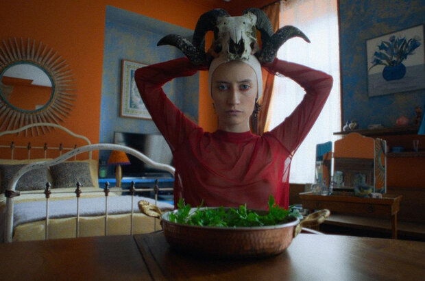 The Night Screening (2025) - photo 5
