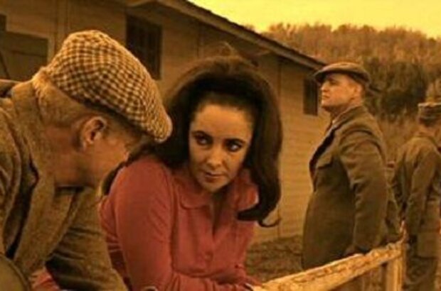 Reflections in a Golden Eye (1967) - photo 2