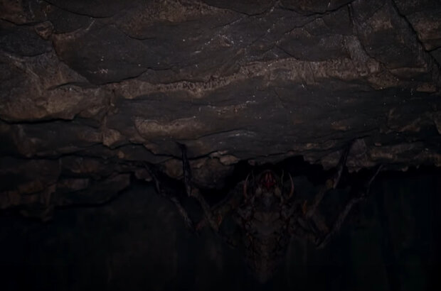 Jurassic Triangle (2024) - photo 3