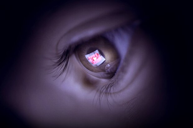 The YouTube Effect (2022) - photo 1