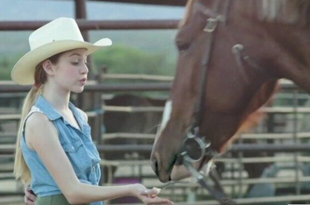 A Horse Story (2015) - photo 1