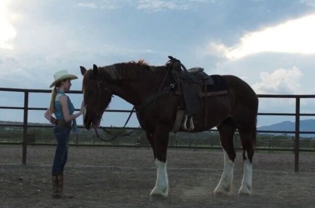 A Horse Story (2015) - photo 4
