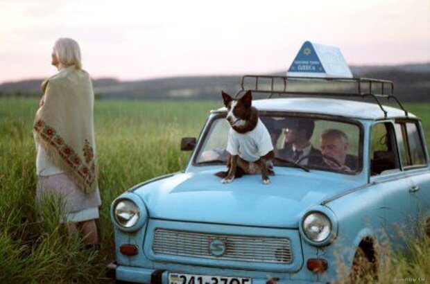Everything Is Illuminated (2005) - photo 2