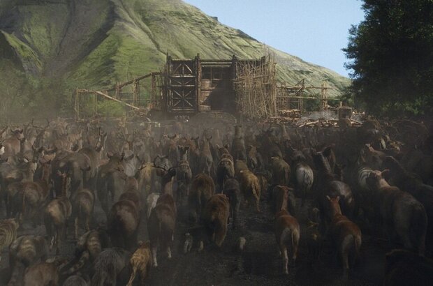 Noah (2014) - photo 17