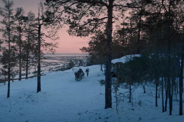 Lost in the North (2023) - photo 7