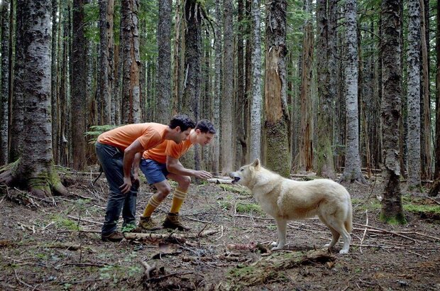 Buddymoon (2016) - photo 6