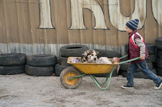 De Niro (2017) - photo 10