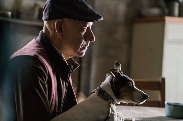 De Niro (2017) - photo 17