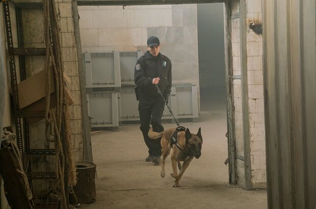 De Niro (2017) - photo 12