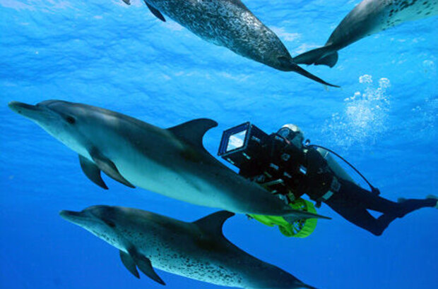 OceanWorld 3D (2009) - photo 3