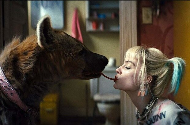 Birds of Prey (2020) - photo 1