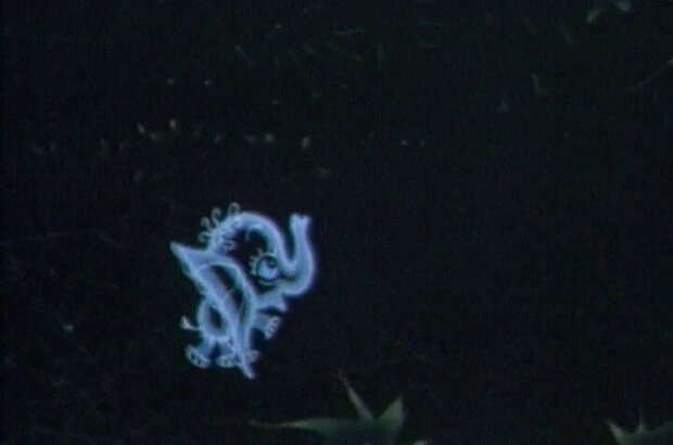 Fantik (1975) - photo 4