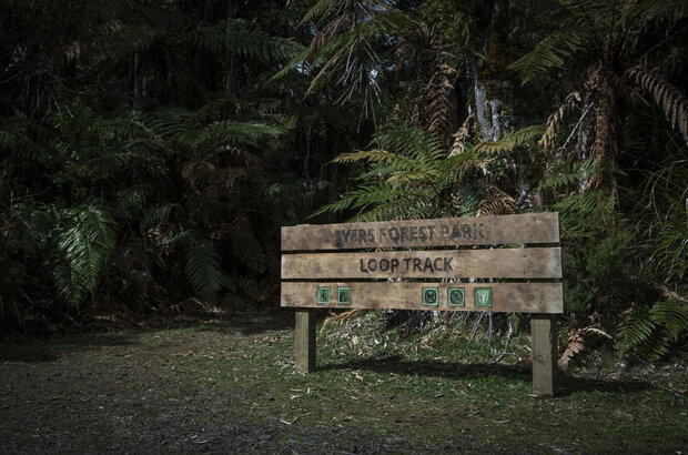 Loop Track (2023) - photo 5
